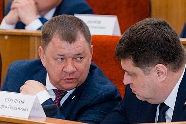 Закон по бродячим собакам принят